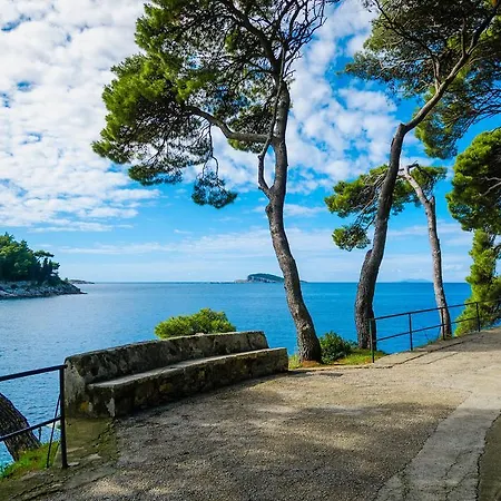 Windrose Apartment Cavtat